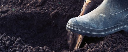 VIDEO: Odense Letbane planter ny skov ved Odins Bro