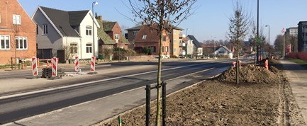 De første af cirka 1400 nye træer langs letbanen er plantet