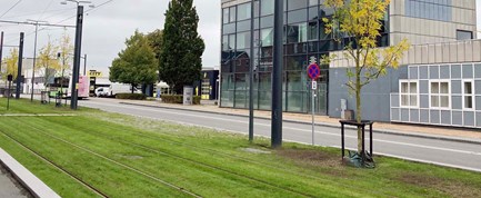 Udfordring med bilkørsel og parkering i sporet