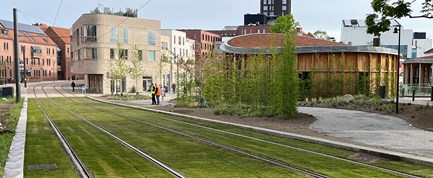 Nyt lag letbanegræs ved H.C. Andersens Hus